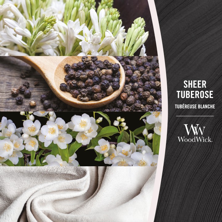 WW Sheer Tuberose Kaars Medium