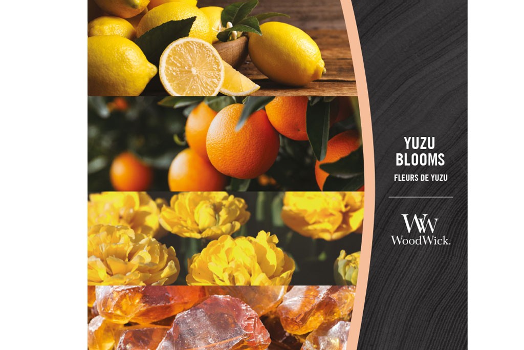 WW Yuzu Blooms Ellipse Candle