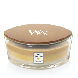 WW Trilogy Fruits of Summer Ellipse Candle