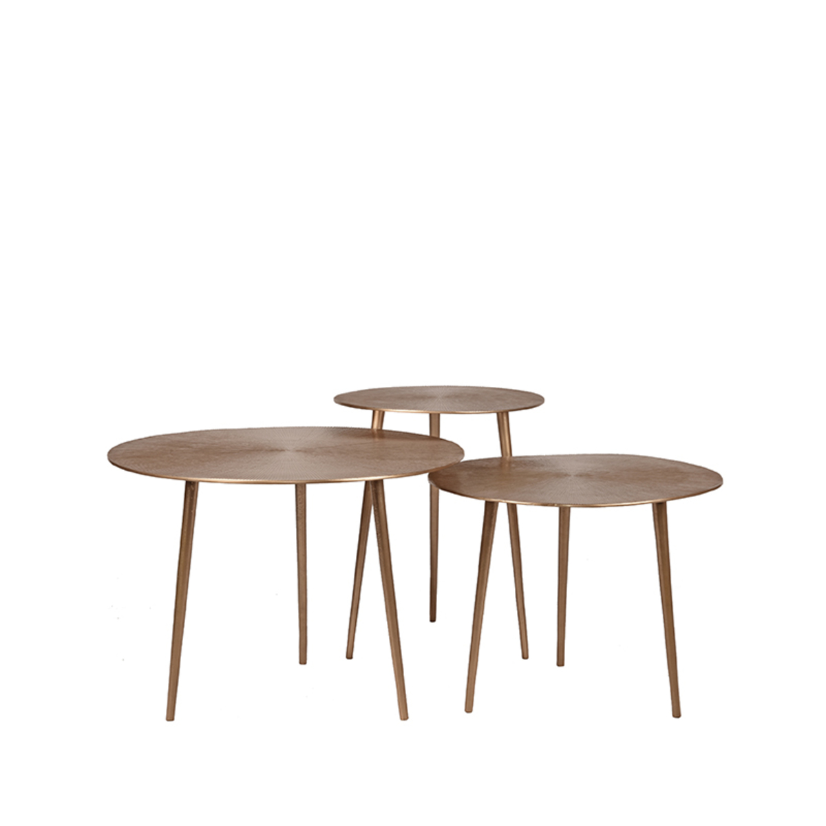 LABEL51 Set Nobby - - - Set