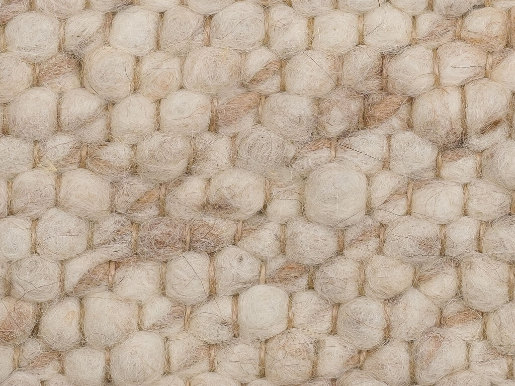Ulva 175