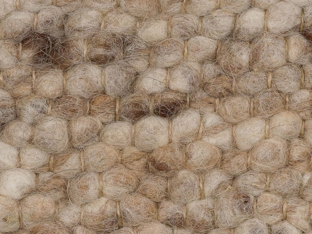 Ulva 176