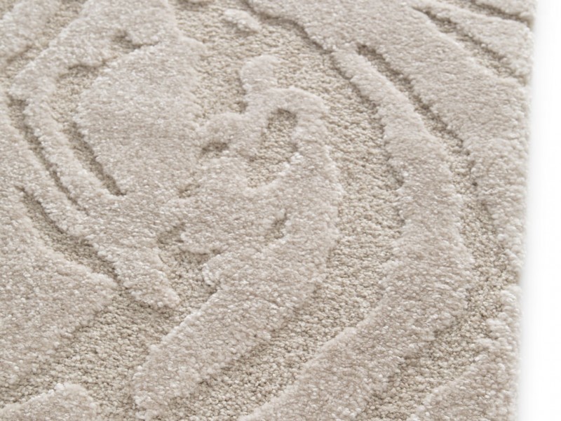 Corpus 055