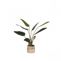 LABEL51  Strelitzia - Groen - Kunststof - 100 cm