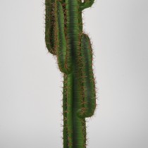 LABEL51  Cactus - Groen - Kunststof - 130