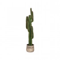 LABEL51  Cactus - Groen - Kunststof - 130 cm