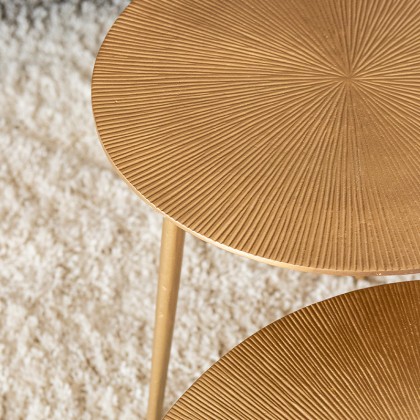 LABEL51 Set Nobby - - - Set