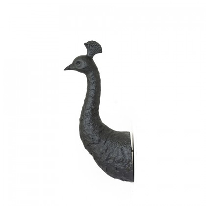 Pavo - black