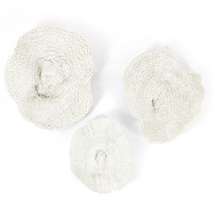 Rifa - white (set of 3)