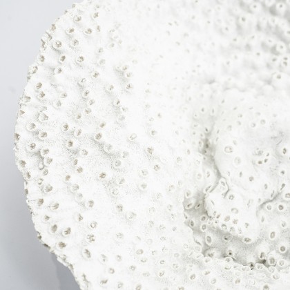 Rifa - white (set of 3)