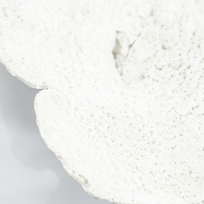 Rifa - white (set of 3)