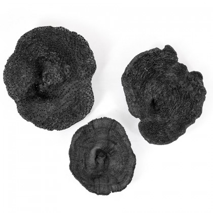 Rifa - black (set of 3)