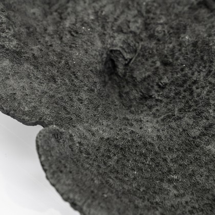 Rifa - black (set of 3)