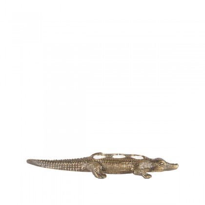 LABEL51  Krokodil - Antiek goud - Metaal