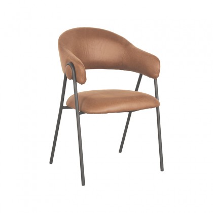 LABEL51 Lowen - -