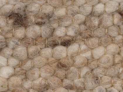 Ulva 176